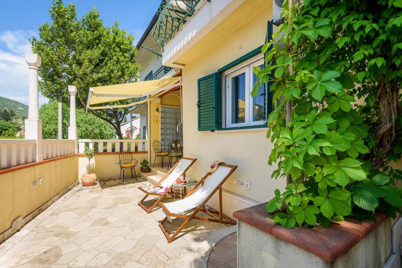 Apartment Jadranka With Sea View In Rogotin Buitenkant foto